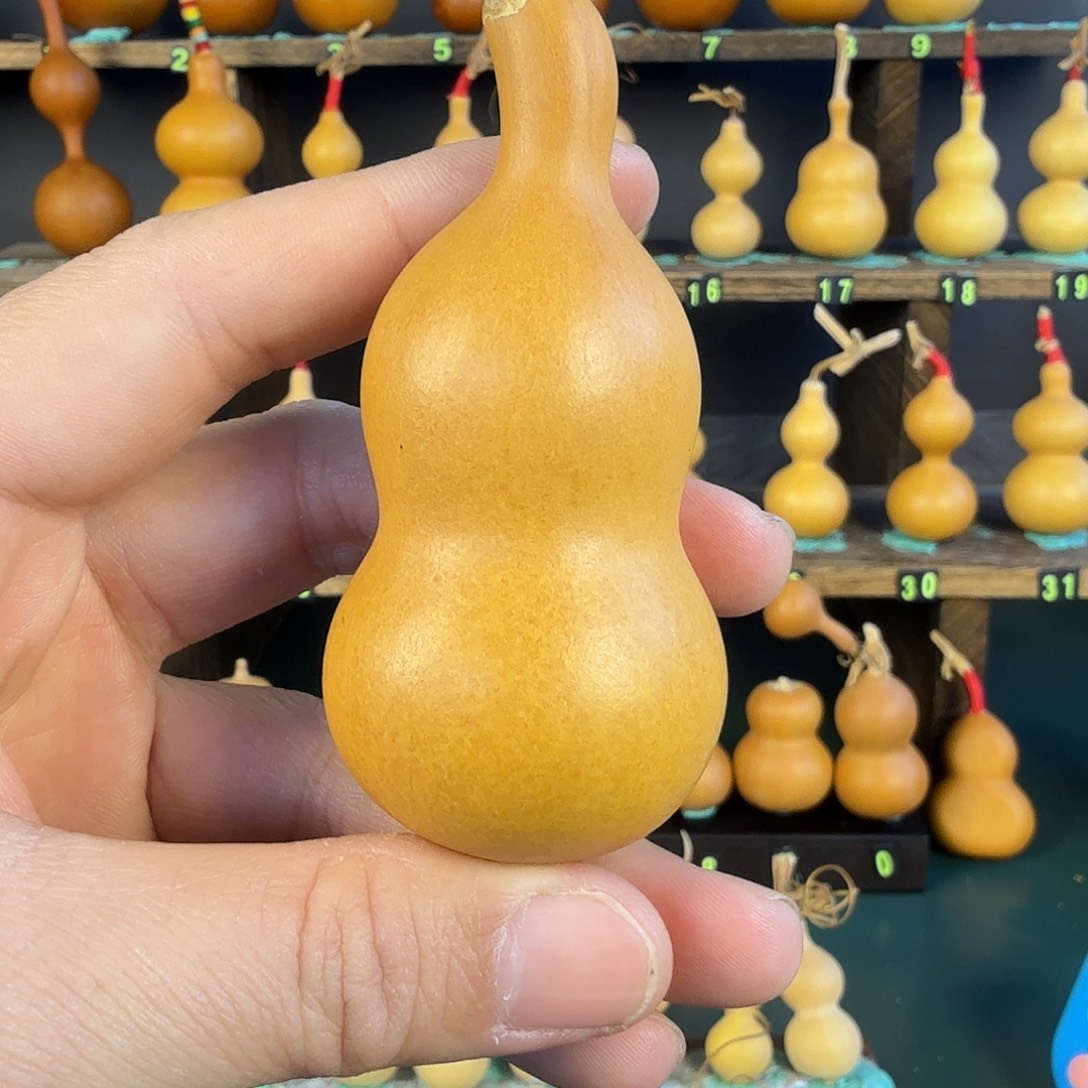 葫芦葫芦葫芦葫芦葫芦