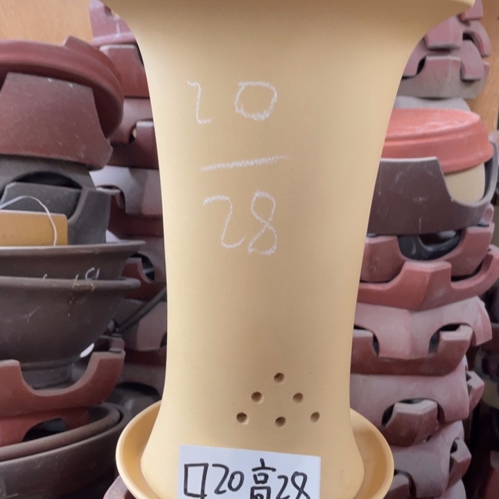 紫砂紫砂紫砂紫砂紫砂 