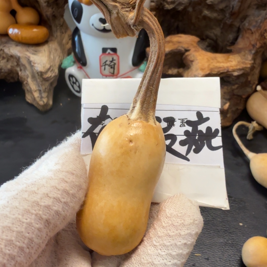 佛***人666666666666666666