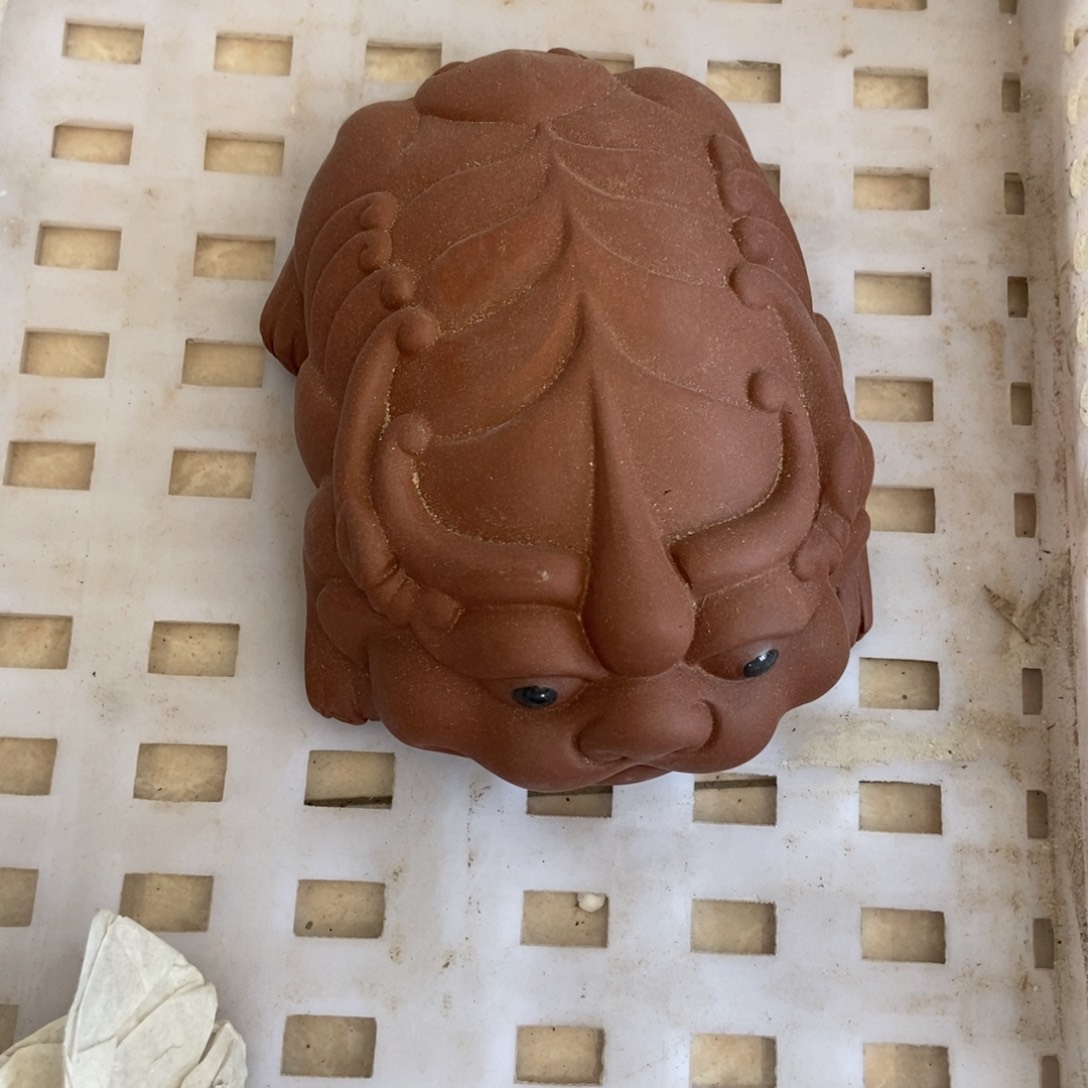 杯直播链接直播链接