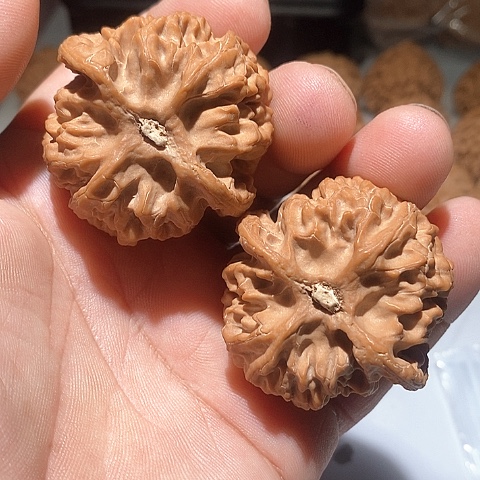 吊坠文玩核桃。苹果