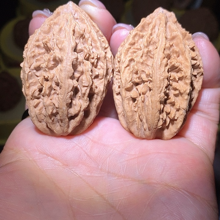 文玩核桃把件东北野生楸子小美5 2