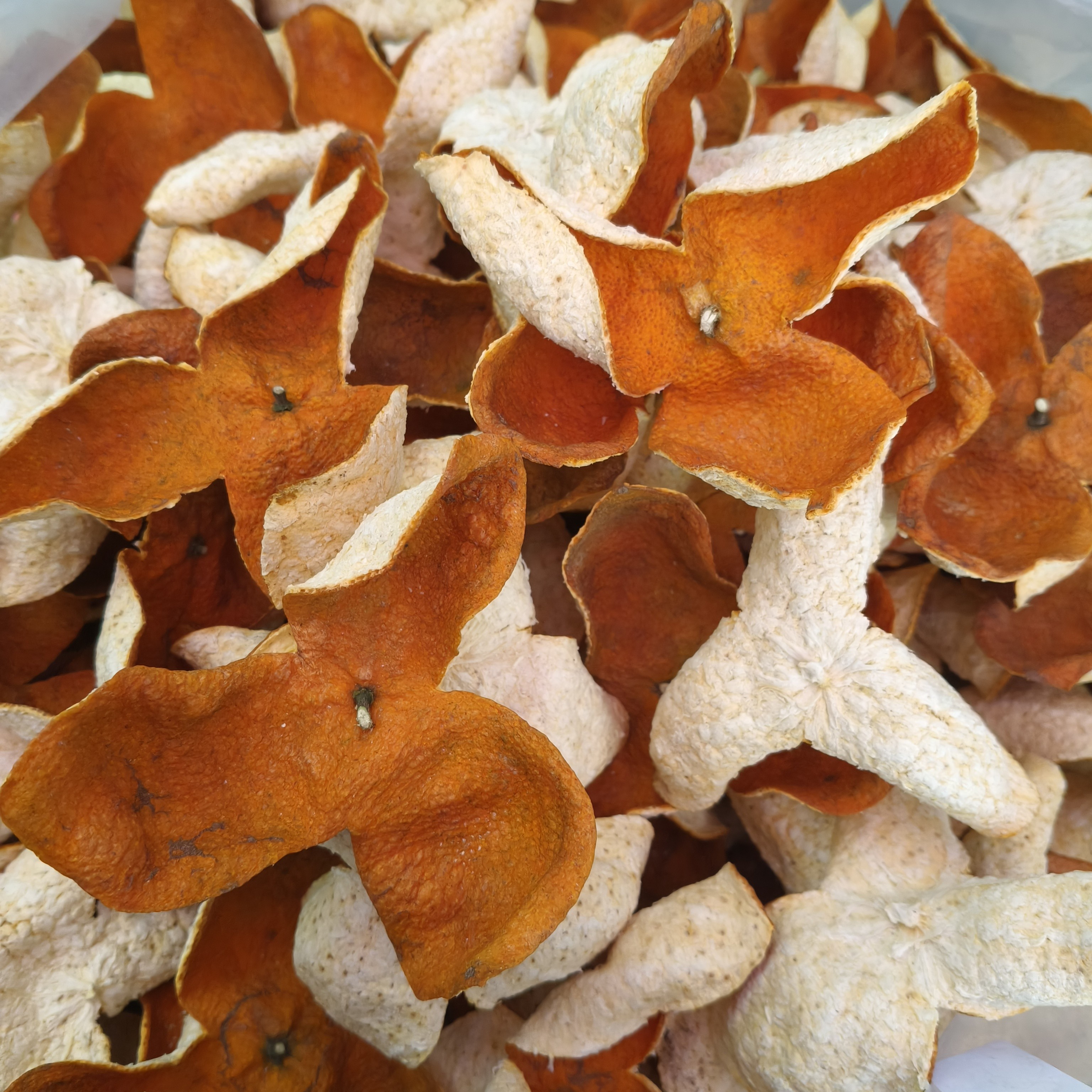 广西浦北冬后大红皮收藏版（超大果）