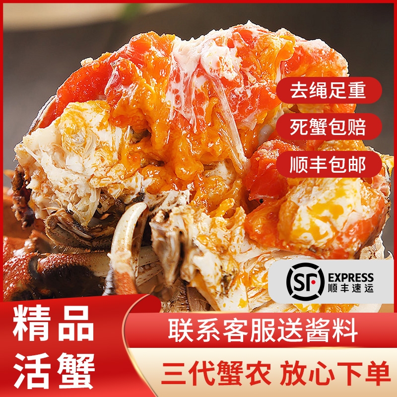【活蟹现发】江苏精品大闸蟹全母蟹3.2-2.9两8+2只 中秋现货礼盒装 