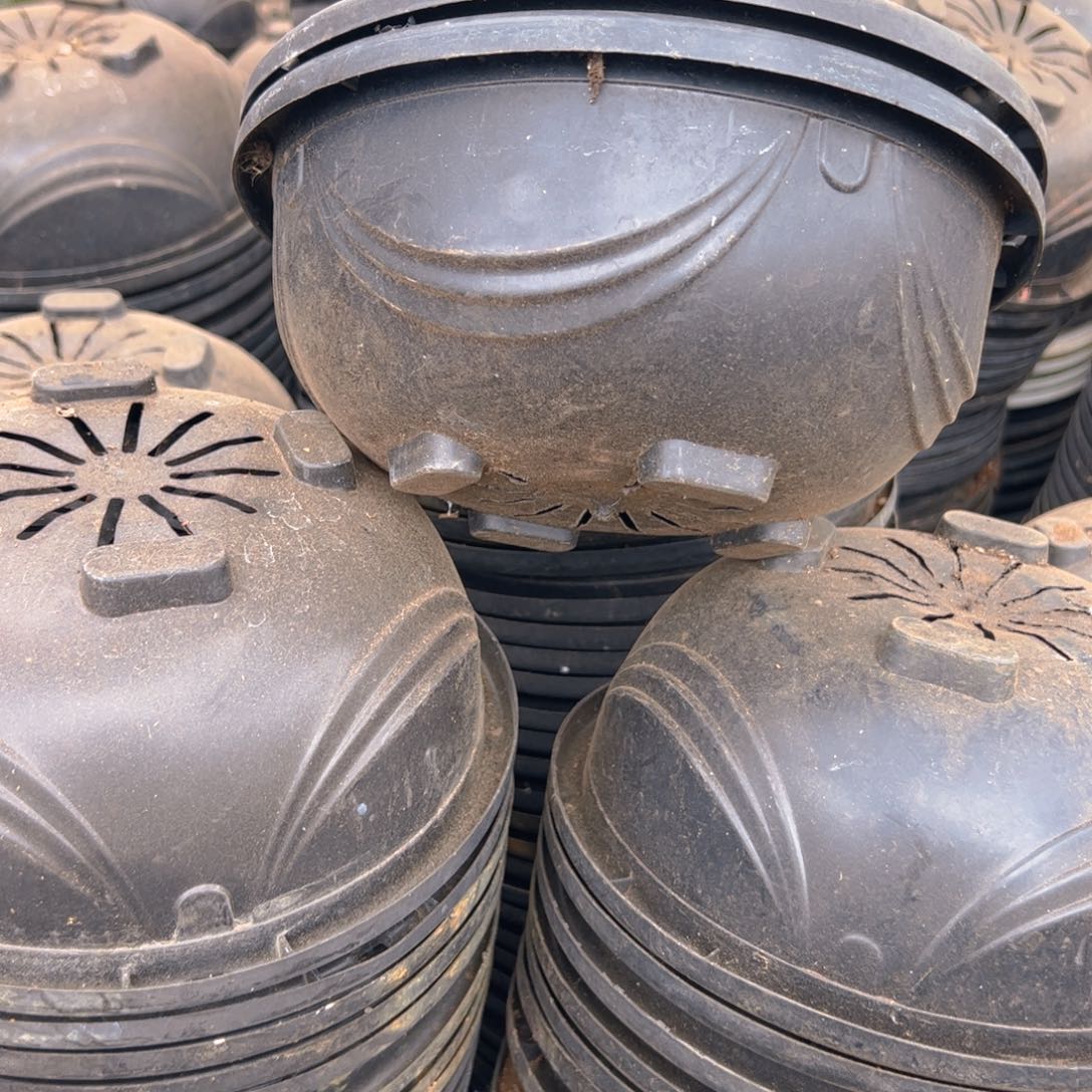 黑硬吊兰盆21口径10高 10个