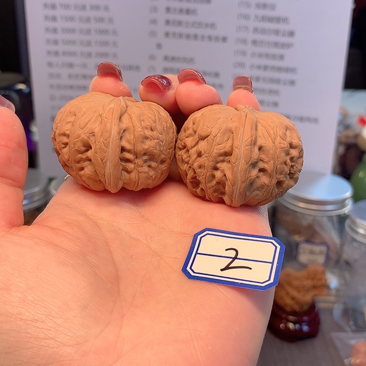 菩提籽类元宝42尺寸