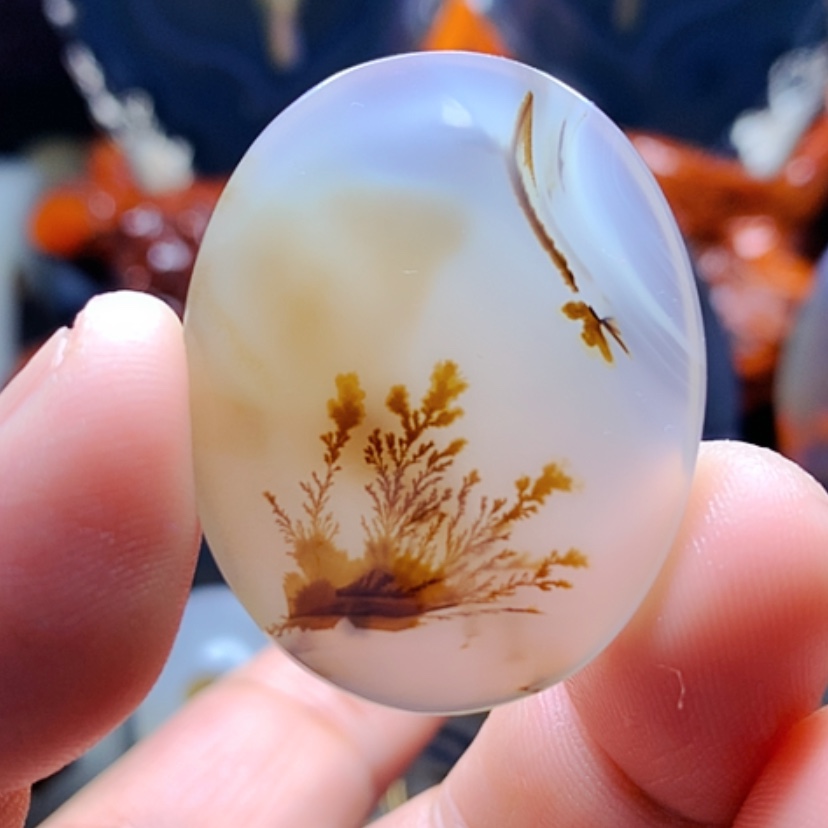 【闪购商品】玛瑙/玉髓颈饰未镶嵌
