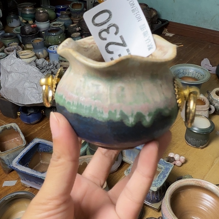 重庆小燕子欢迎大家230