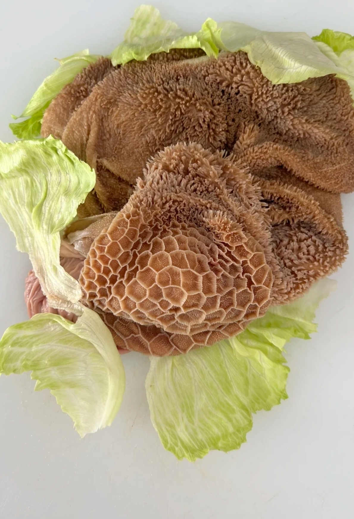 【绒山羊新鲜羊肚】现场称重羊小羊鲜肉铺