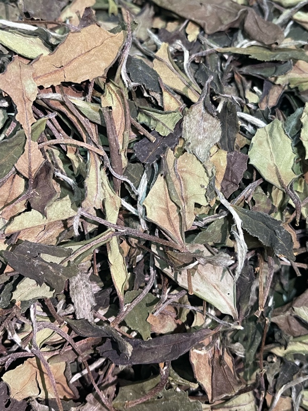 2012年寿眉老白茶砖