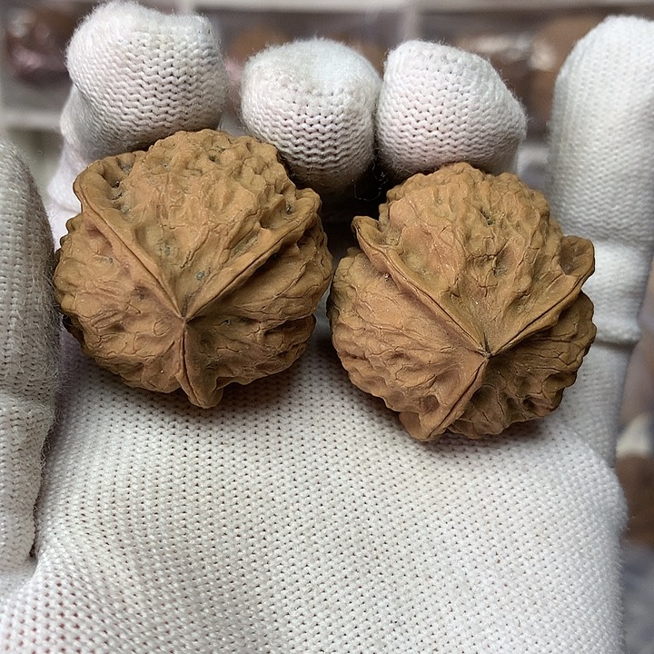 核桃小圆球三棱10号