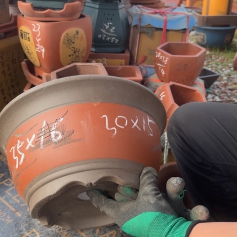 红陶紫砂花盆盆景栽