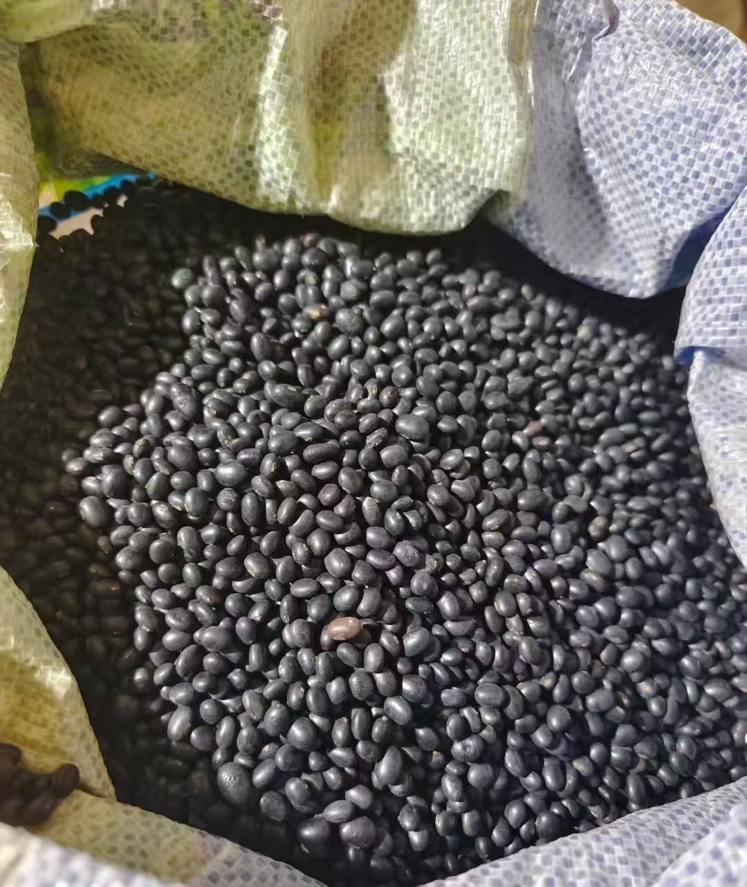 农家黑豆500g农家干货山货