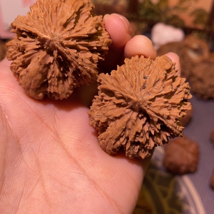 核桃秦岭文玩核桃5