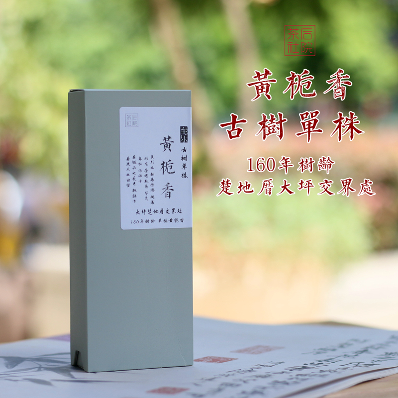 【古树单株黄枝香】乌岽大坪楚地厝老枞黄栀香凤凰单丛后院茶社