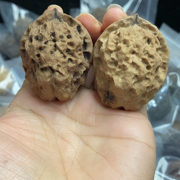 文玩核桃把件云南铁核桃基地16