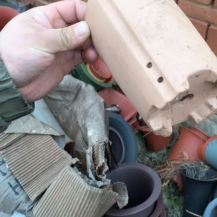 紫砂哈哈真的是太给力太多真的会