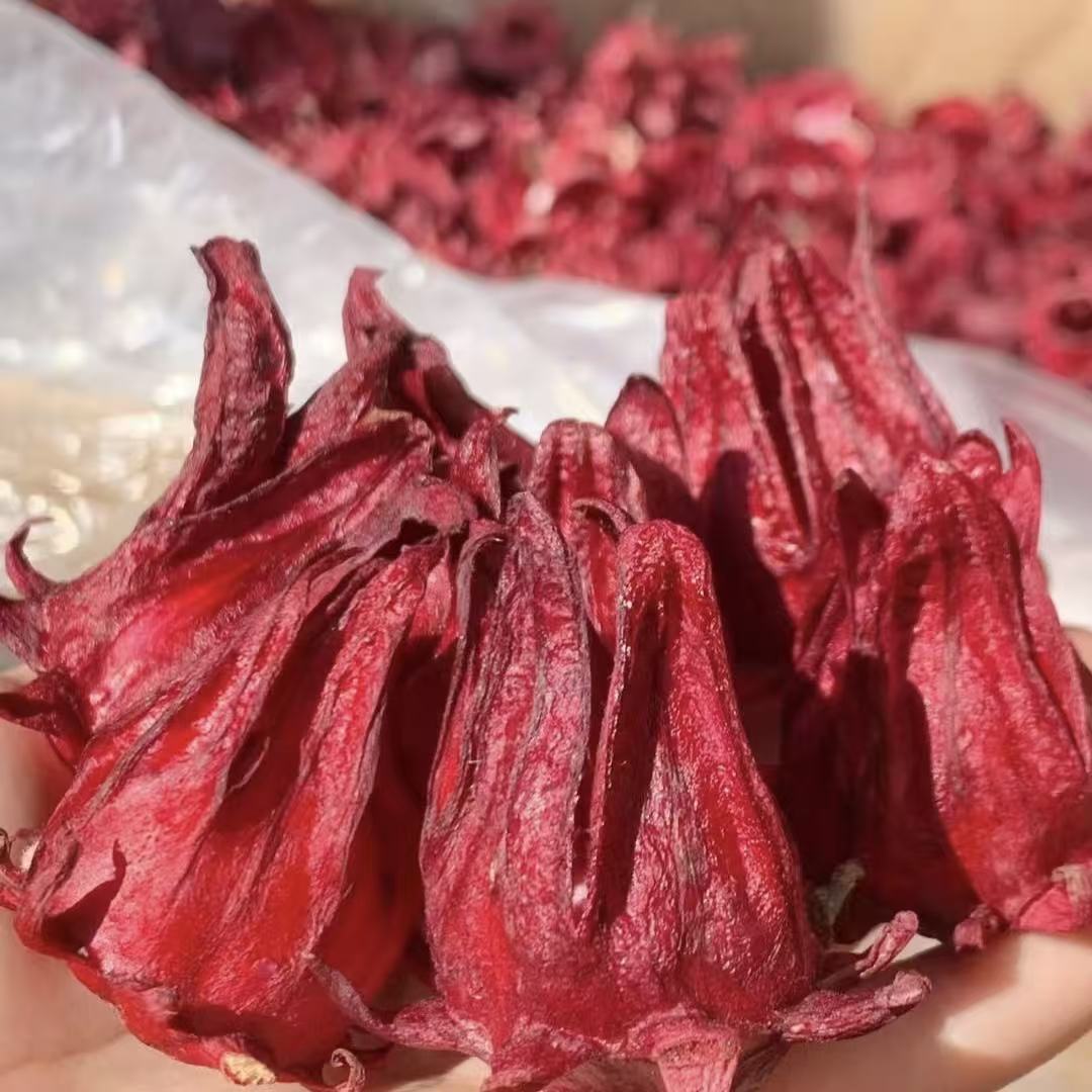 【洛神花】云南优质下山干货 冻干洛神花