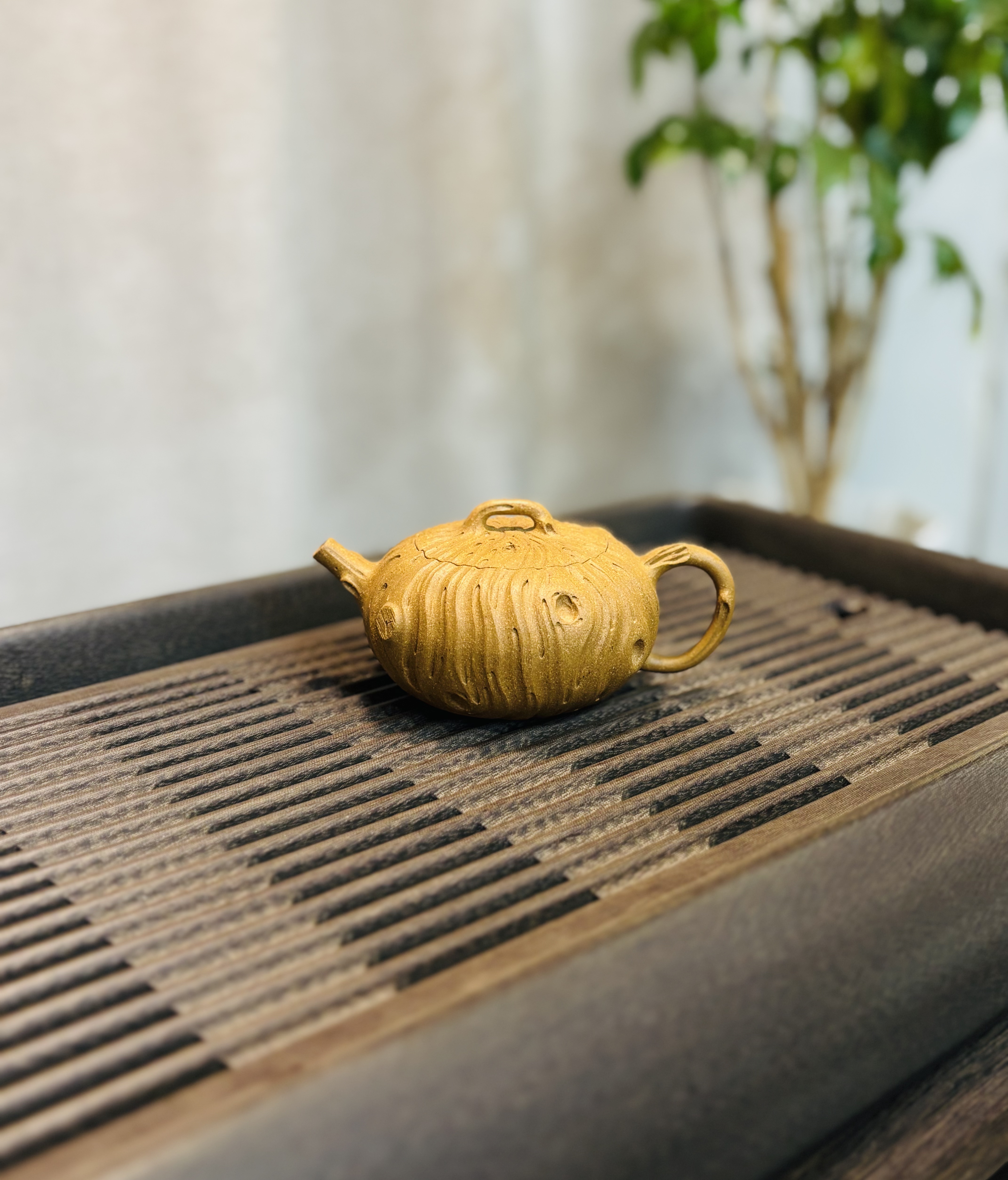 星砂堂 【年轮】殷祥 黄金段紫砂壶全手工制作