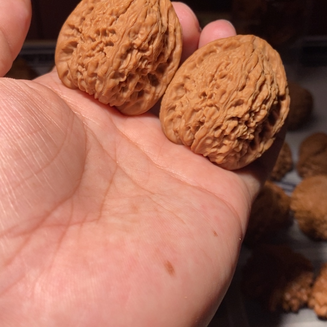 把件文玩核桃008高炮拉丝纹南将石