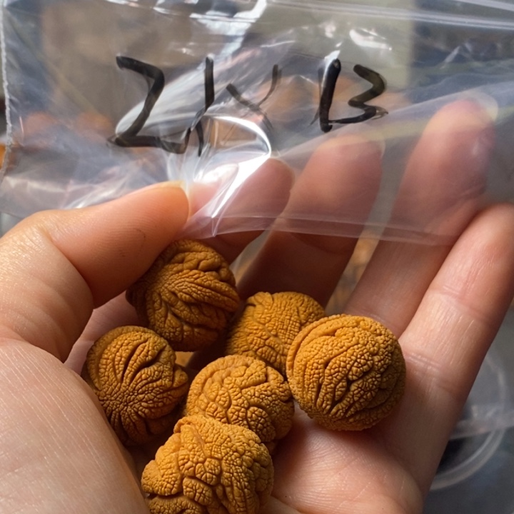 手串文玩核桃秦岭野生龙纹桃核21