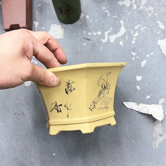 红陶紫砂花盆漂亮