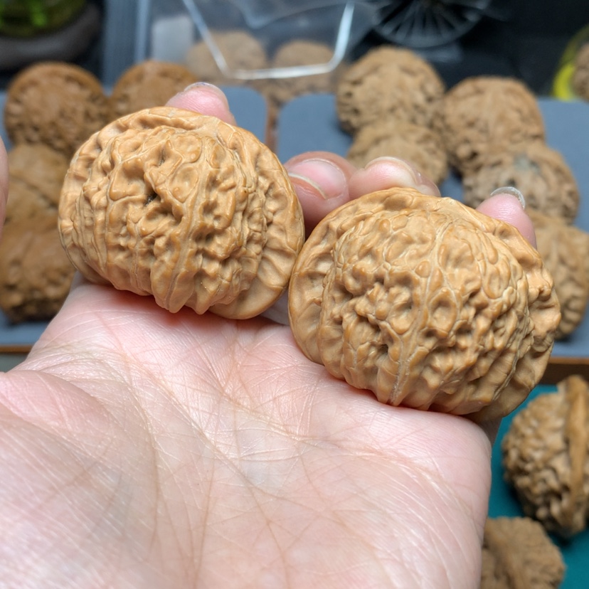 【闪购商品】核桃摆件42闷白编号4288