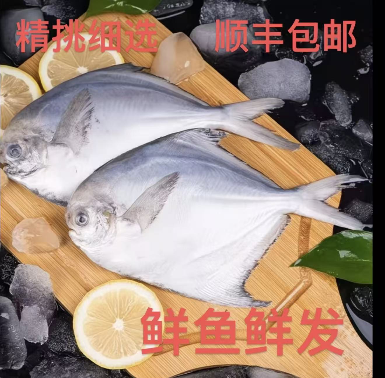 野生鲳鱼 新鲜 冷冻 顺丰包邮 香煎清蒸营养高