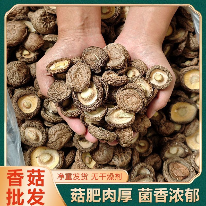 香菇干货肉厚无根新货无干燥剂净重无根农家特产新货冬菇
