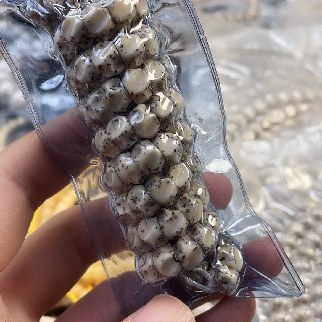 星月菩提手串清货原生态大肠无相