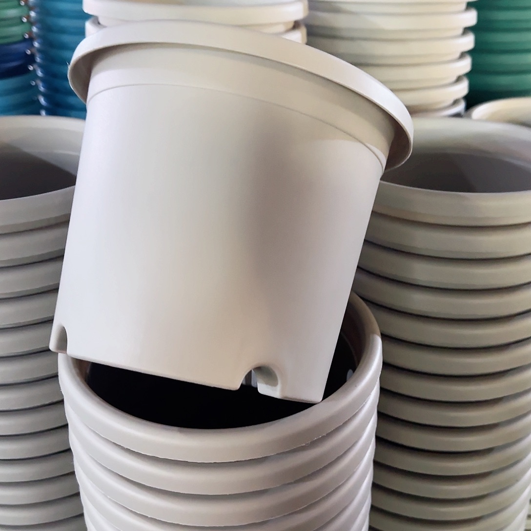 树脂3#无拖灰白10个