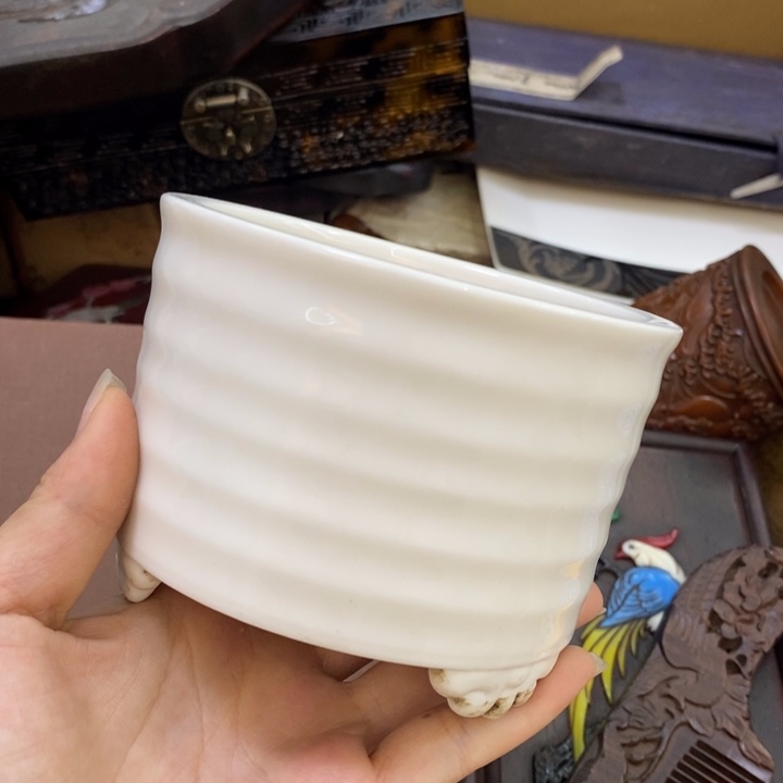 瓷片哦哦哦哦哦哦哦哦哦哦