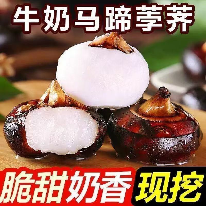 【特惠】马蹄 新鲜 脆甜 带泥发货5斤左右 核实好地址下单哦