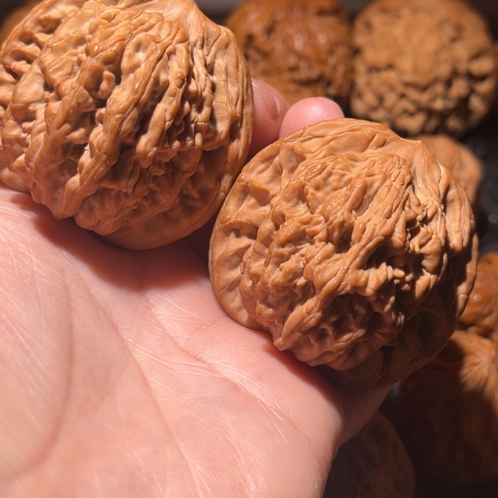 龙脊菩提吊坠虎头