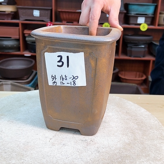 红陶紫砂花盆中花满地