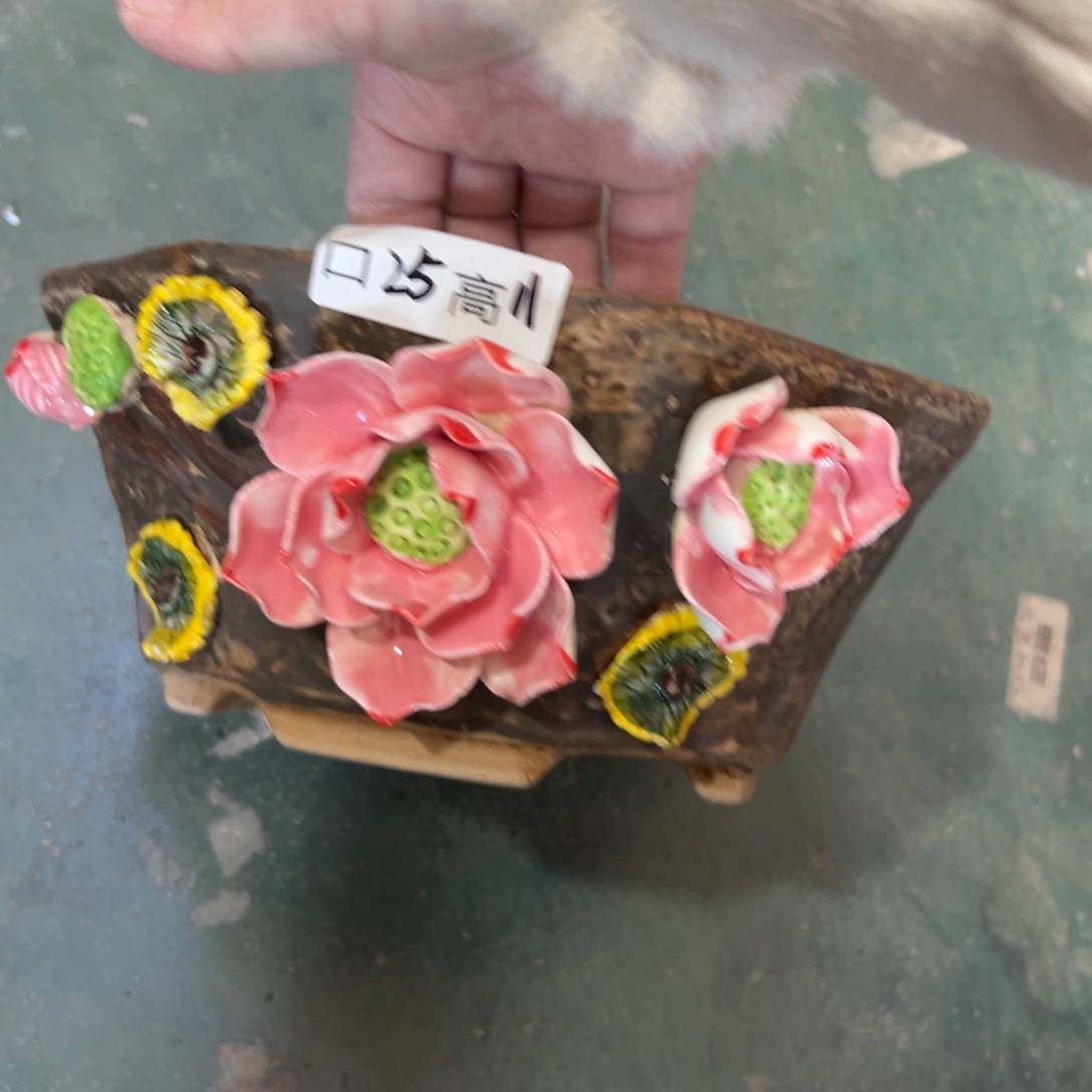 花盆拍满20元发货退款拉黑