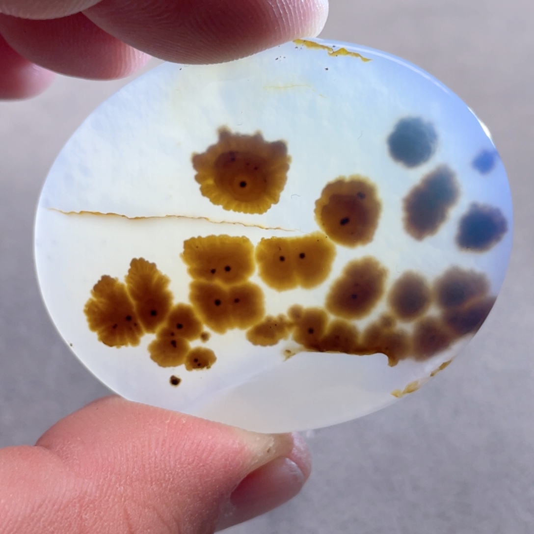 【闪购商品】玛瑙/玉髓颈饰合金