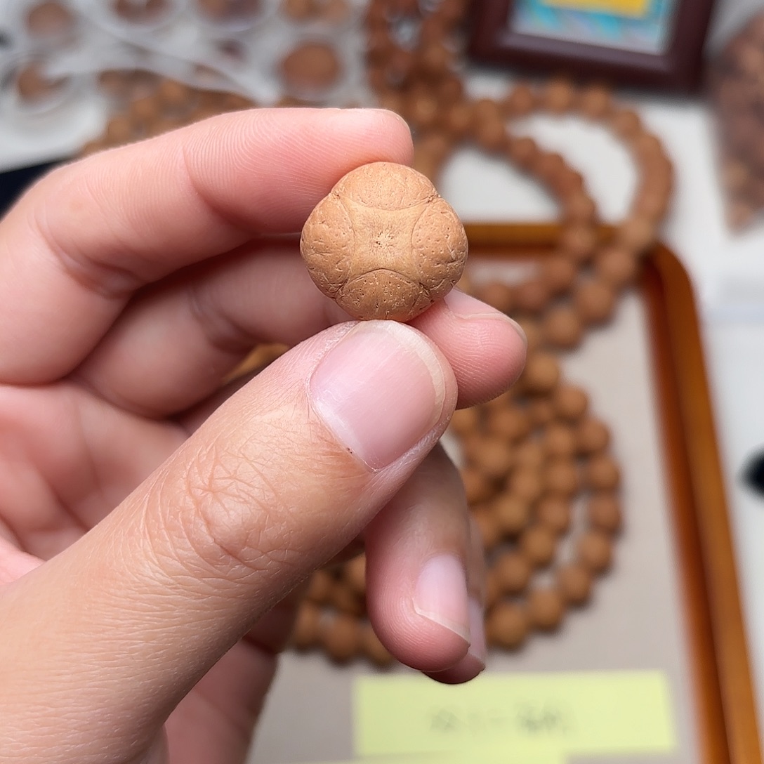 手串凤眼菩提麒麟三通19.4×13.4