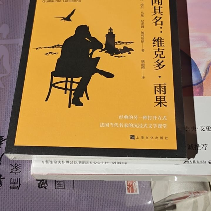 维克多雨果平装库存书