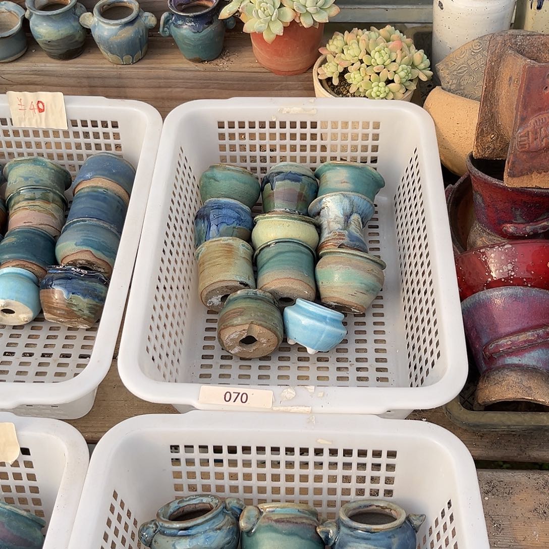 070号花盆十个另送一个口径4-5厘米微瑕