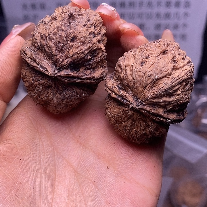 核桃云南野生铁核桃187号45mm