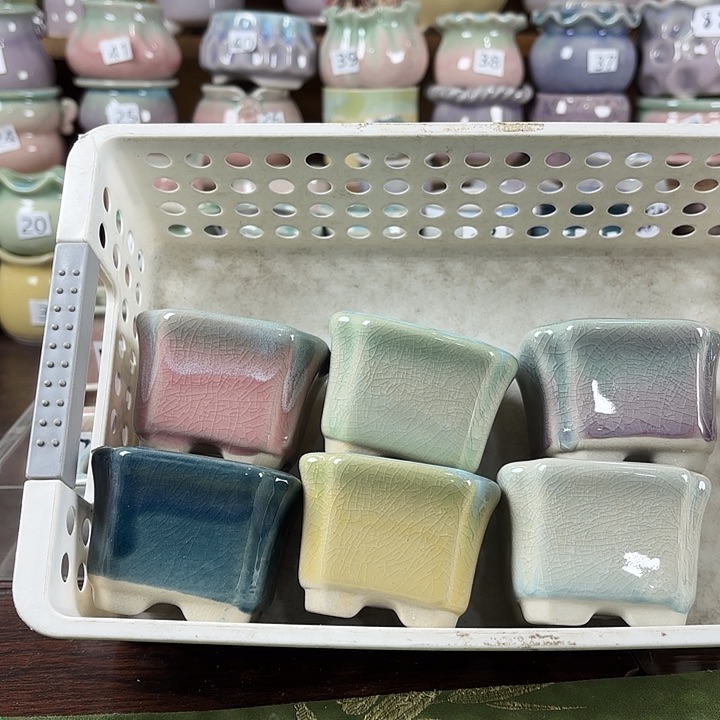 红陶量货/口6高5深浅搭配发6