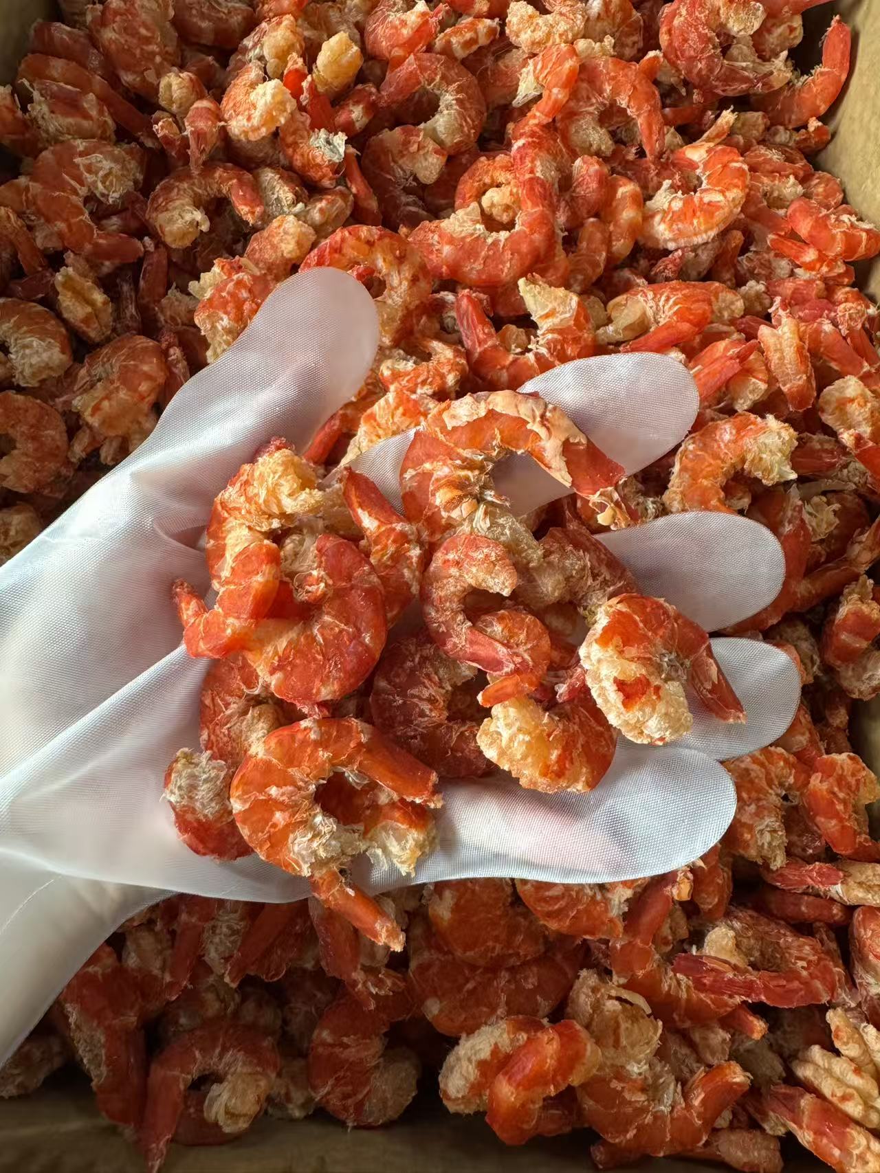 九节虾仁干 熟晒海鲜干货