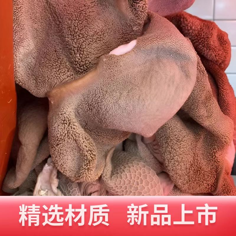 精品无心肝肺，羊头羊肠3斤、羊肚2斤