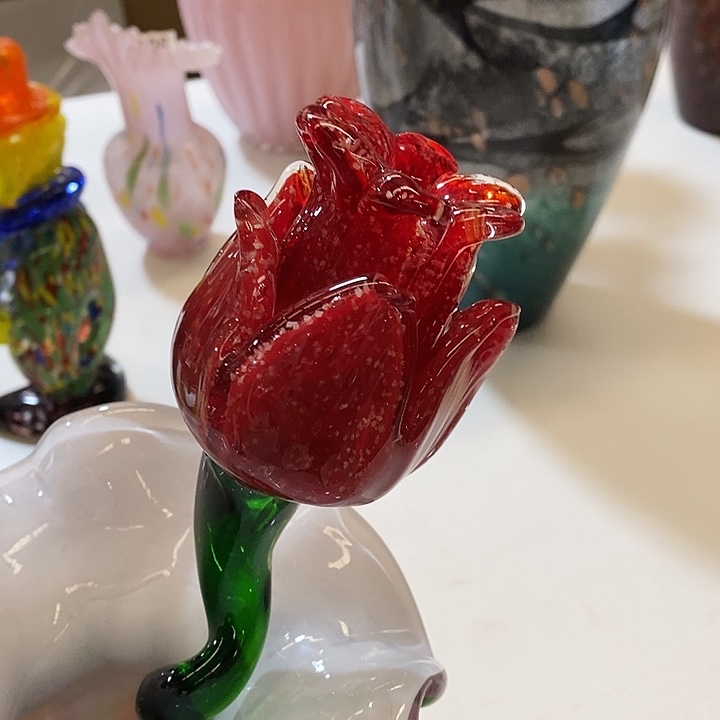 夜光花高48厘米左右