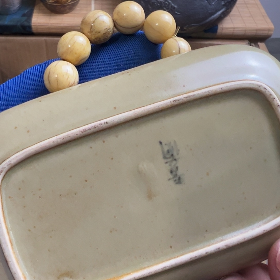 茶宠哈哈哈哈哈哈哈哈哈哈哈哈哈哈哈