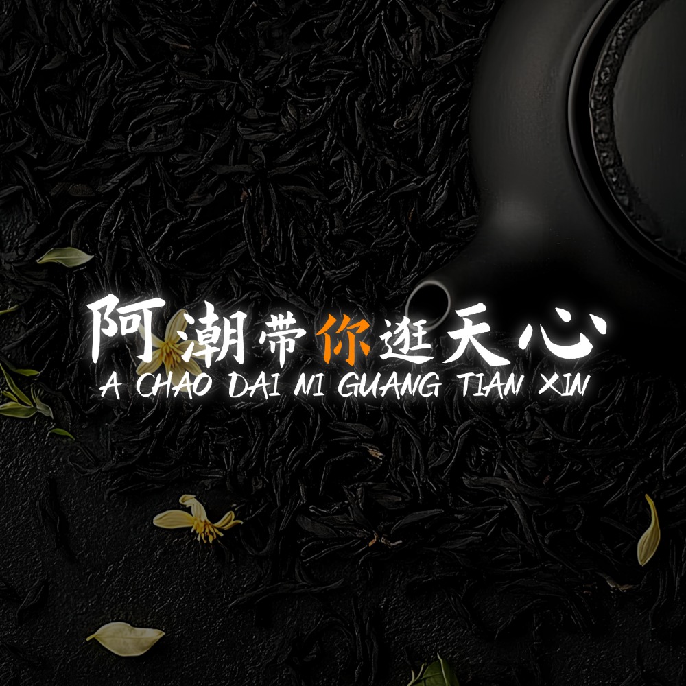 【起步就在天心，这里才是正岩】