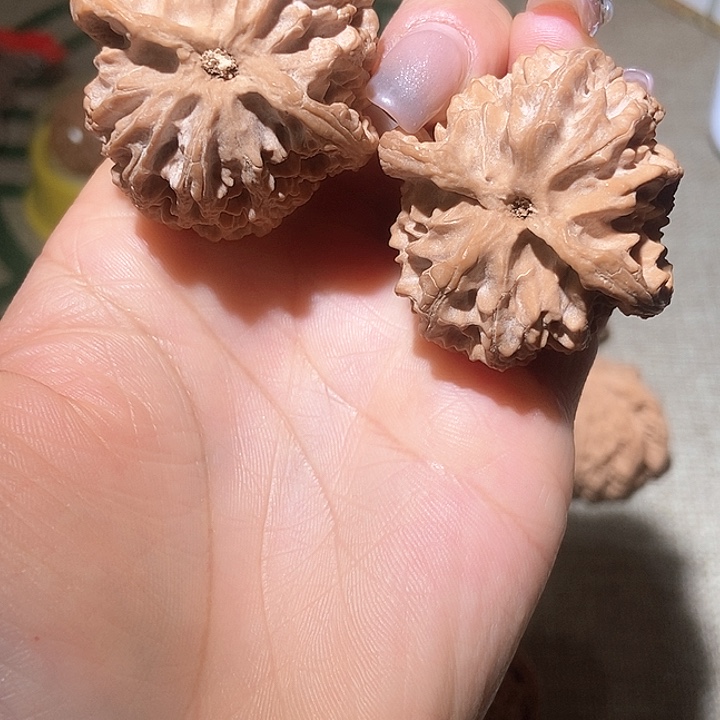 40尺寸全品苹果园！好运连连