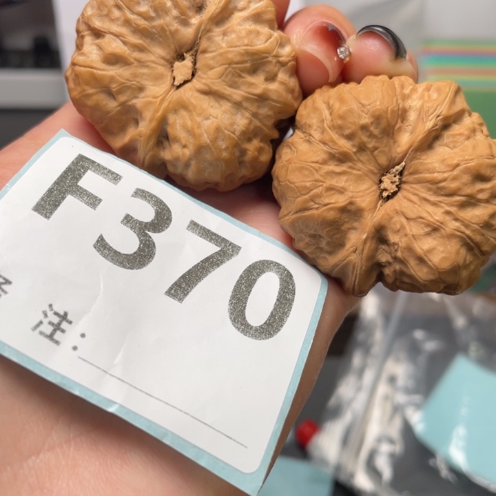 文玩核桃把件蛙饼40.5 43 30.5