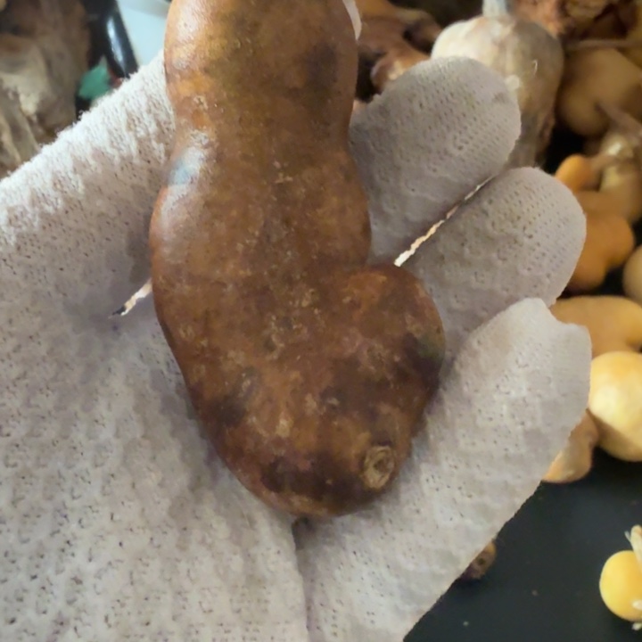 ⠀***们6666676666666666